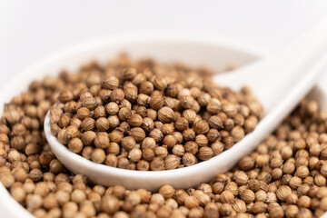 Coriander Grains in a Spoon on a White Background.