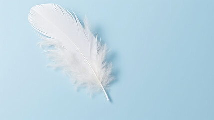 Obraz premium A white fluffy bird feather on a delicate blue background