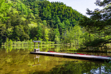 日本の風景・初夏　長野　新緑の上高地　明神池