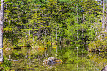 日本の風景・初夏　長野　新緑の上高地　明神池