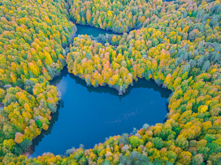 Autumn Season in the Yedigoller Drone Photo, Yedigoller National Park Bolu, Turkiye (Turkey)