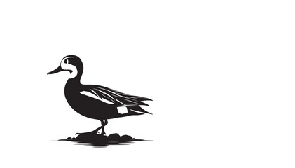 Duck vector art and illustration