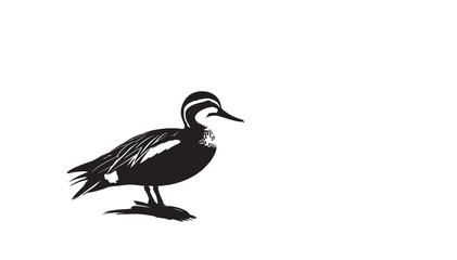 Duck vector art and illustration