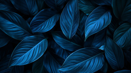 Zbliżenie na liść w intensywnych barwach niebiesko-zielonych, ukazujące subtelną teksturę rośliny w ciemnym, naturalnym tle.
