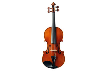 Obraz premium Violin Isolated