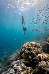 Freediver is diving in a sea full of coral.