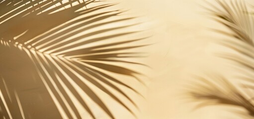 Fototapeta premium Tropical Palm Leaf Shadows Cast on Yellow Wall