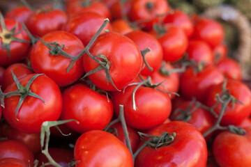 Red fresh tomatoes on branch in wicker baskets on counter