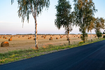 Part of a new asphalt road among fields with straw bales