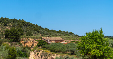 a rural landscape with a terracotta-roofed house nestled among verdant trees and shrubbery, under a clear blue sky. The terrain is hilly of a Mediterranean environment.