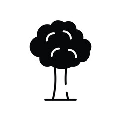 Tree vector icon