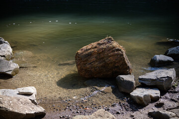 Sunlit Log in a Calm River