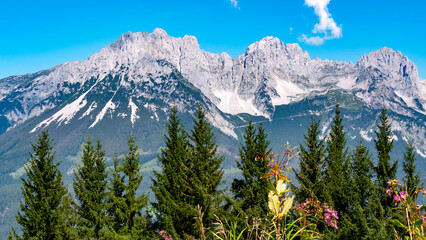 Idyllisches Bergpanorama mit blauem Himmel und Blick auf den Wilden Kaiser
