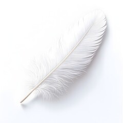 Obraz premium Lone White Feather Gracefully Settled on Bright,Untarnished Plane with Delicate Shadows and Vivid Luminance