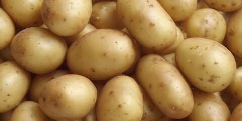 Freshly picked light yellow potatoes arranged in a random overla