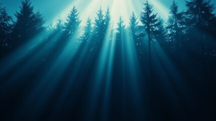 Fototapeta premium A serene forest scene with beams of light filtering through tall trees, creating an enchanting and tranquil atmosphere.
