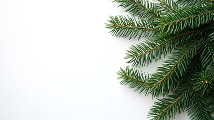 Minimalist Green Branches on White Background: Simple green Christmas tree branches against a clean white background, ideal for a modern holiday design.