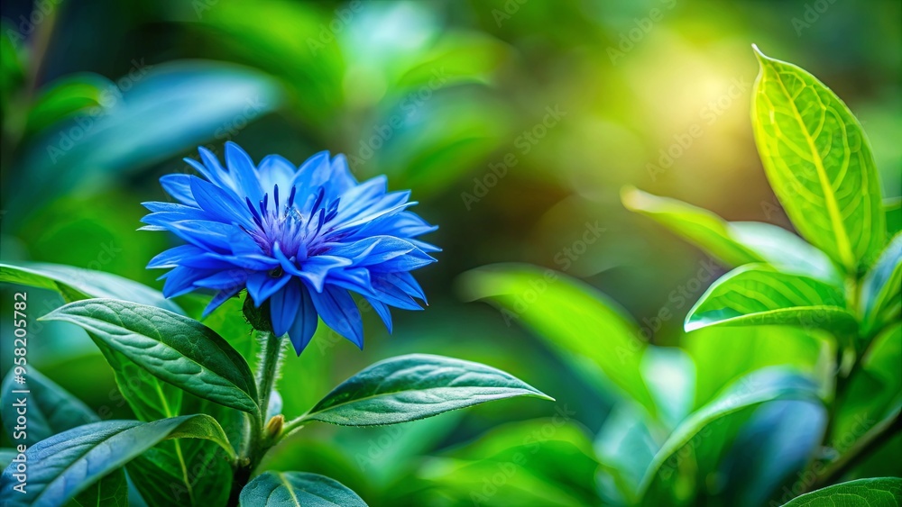 Wall mural Blue flower and green leaves in focus against a blurred foliage backdrop