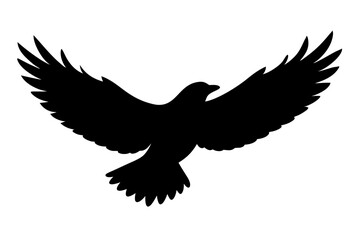 Flaying bird silhouette 