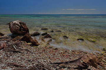 The shore around Cabo Cruz fishing village made of coral rocks and dotted with debris of tree branches, in the Granma Landing Park. Niquero-Cuba-412