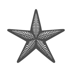 Fototapeta premium Vector silhouette of star fish.