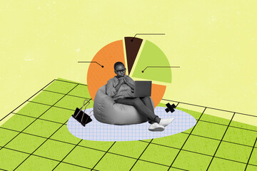 Composite photo collage of minded american girl sit beanbag browsing laptop diagram statistics development isolated on painted background
