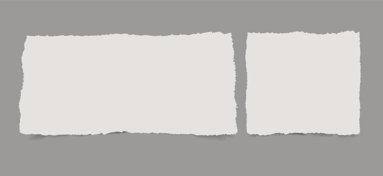 Vintage torn paper set on transparent background.