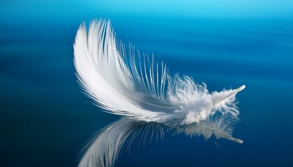 white feather on blue background