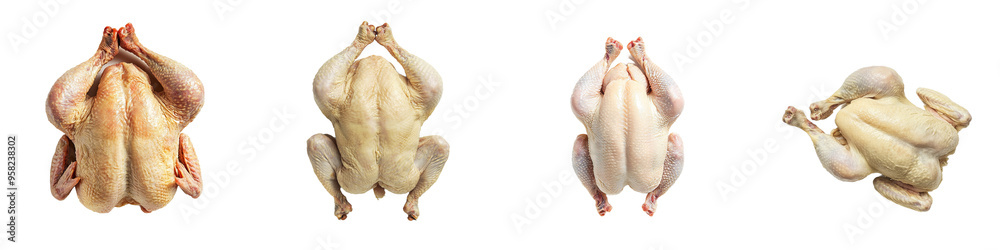 Poster full-length top view of a cooked chicken on a transparency background