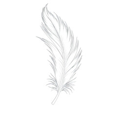 Obraz premium Line art feather logo