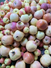 This colorful display of nature’s bounty not only looks appetizing but also promises a delicious variety of flavors and nutrients in every bite.