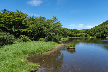 赤城山にある湿原帯の覚満淵