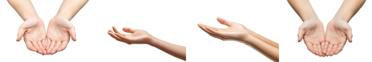 A woman's hands are beautifully framed against a white background, close-up