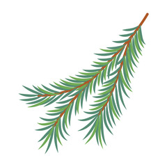 Hand drawn spruce twig with green needles. Isolated on white vector illustration in flat design