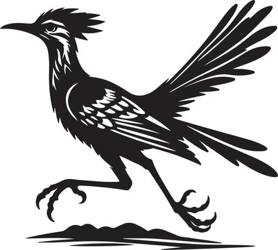 roadrunner silhouette vector illustration