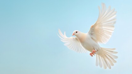 Obraz premium A serene bird soaring high in the sky, captured mid-flight, embodying grace and the essence of freedom.