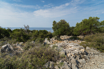 Olive Grove Croatia, Lun
