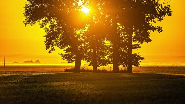 Glowing, morning sunrise through trees along a countryside road - time lase