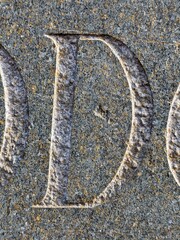 Written Wording in Distressed State Typography Found Letter D Ransom Note