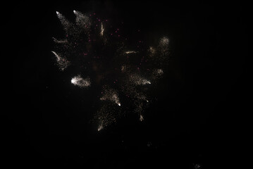 fireworks in the night sky