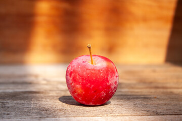 A single, small, vibrant red crabapple with a stem, sitting on a textured wooden surface with warm sunlight and shadows. A simple and natural still life.