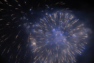 fireworks in the night sky