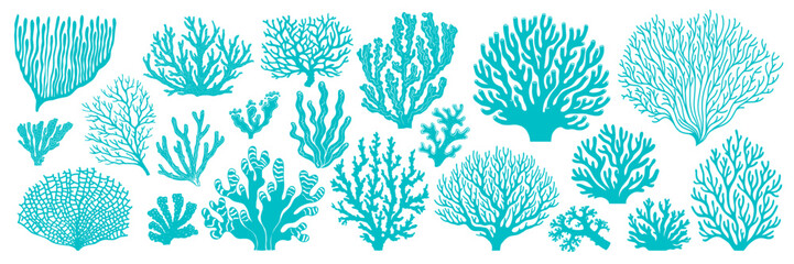 Corals and seaweeds of sea and ocean in silhouettes or imprints, vector icons. Cartoon undersea or underwater plants of coral reef, corals and actinia aquatic flowers for marine pattern or decoration © Vector Tradition