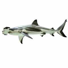 Fototapeta premium Hammerhead shark gliding isolated, cut out 