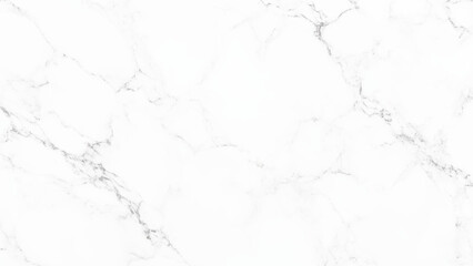 Vector watercolor art background. Old paper. Marble. Stone. Marble granite white panorama background wall surface black pattern graphic abstract.