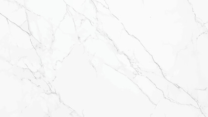 Fototapeta premium Vector watercolor art background. Old paper. Marble. Stone. Marble granite white panorama background wall surface black pattern graphic abstract.
