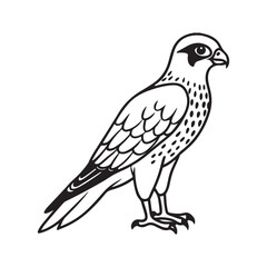 Harrier bird line art vector silhouette with white Background