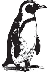 Hand drawn single penguin outline silhouette line art illustration in white background © Sadhin