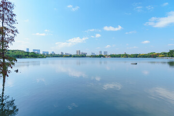 City park lake scenery with blue sky and white clouds