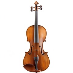 Fototapeta premium Classic isolated on white background 